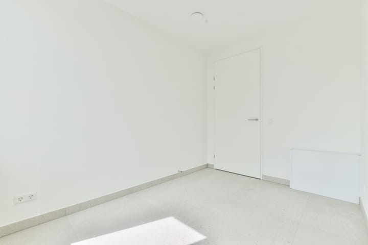 Foto 19 van Knobbelzwaan 121