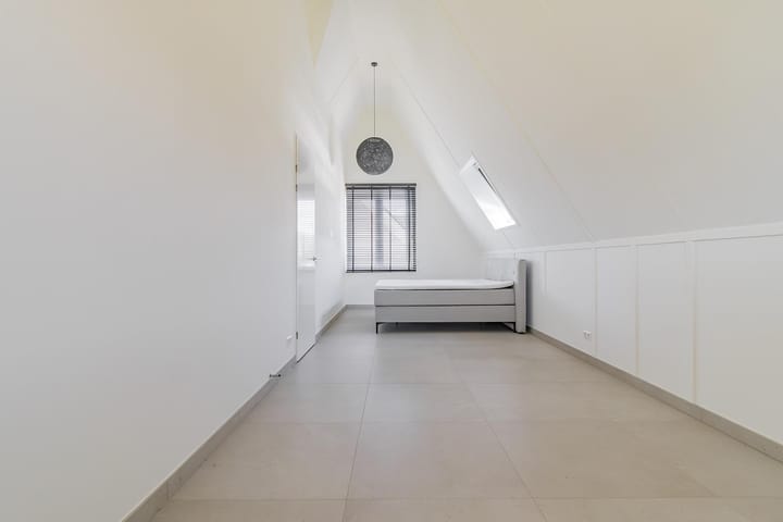 Foto 20 van Knobbelzwaan 121