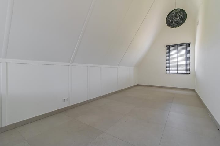 Foto 21 van Knobbelzwaan 121