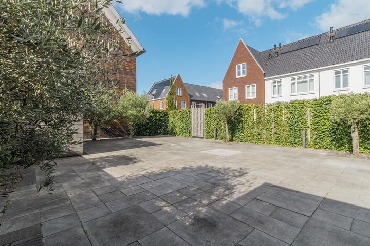 Foto 24 van Knobbelzwaan 121