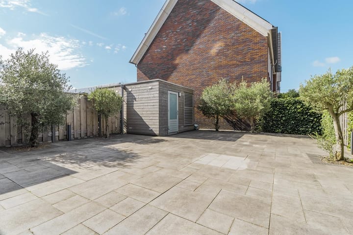 Foto 25 van Knobbelzwaan 121