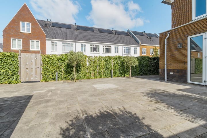 Foto 27 van Knobbelzwaan 121