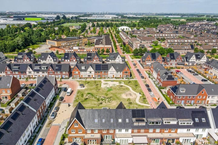 Foto 29 van Knobbelzwaan 121