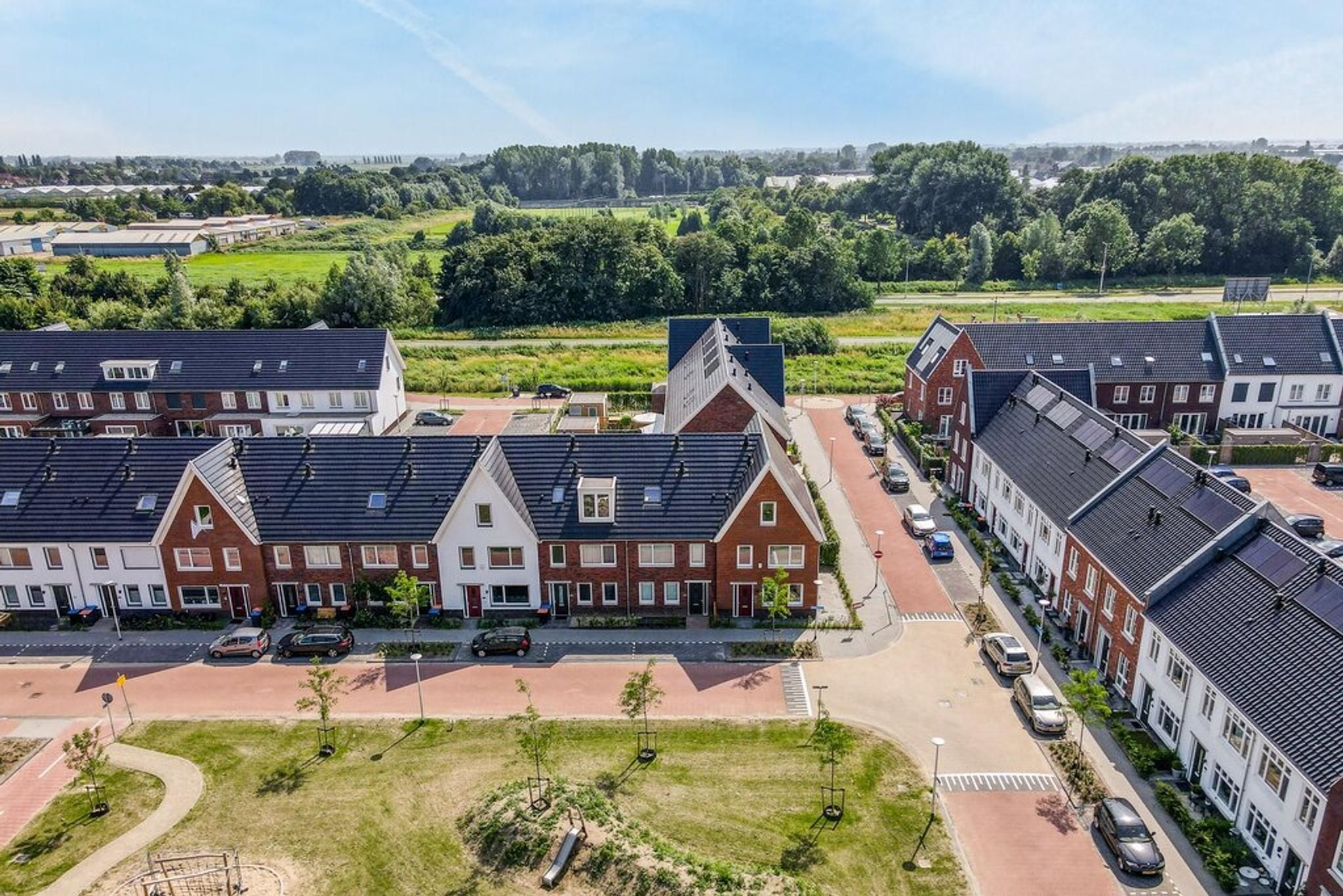 Foto 30 van Knobbelzwaan 121