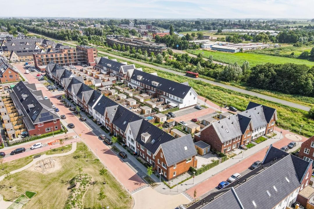 Foto 31 van Knobbelzwaan 121