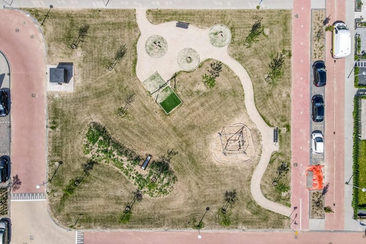 Foto 32 van Knobbelzwaan 121