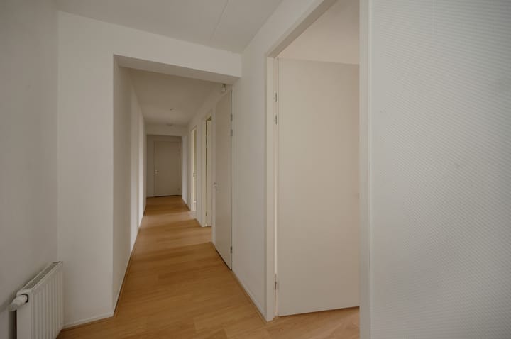 Foto 3 van Pegasusstraat 228