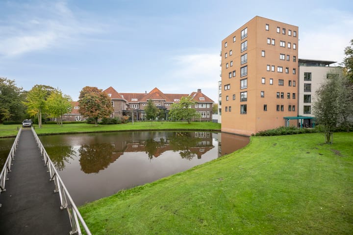 Robiniastate 5 main image