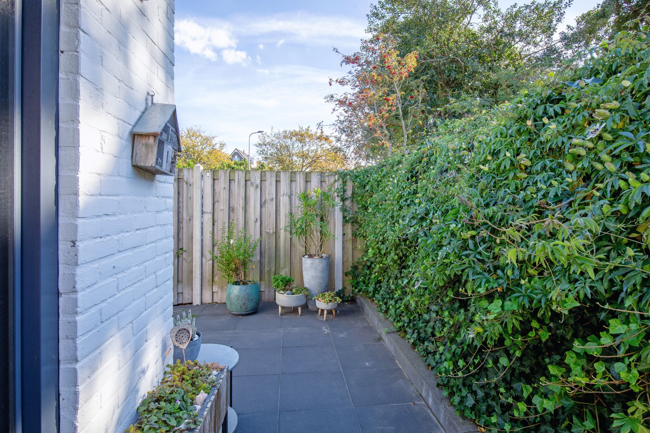 Foto 39 van De Zes 11