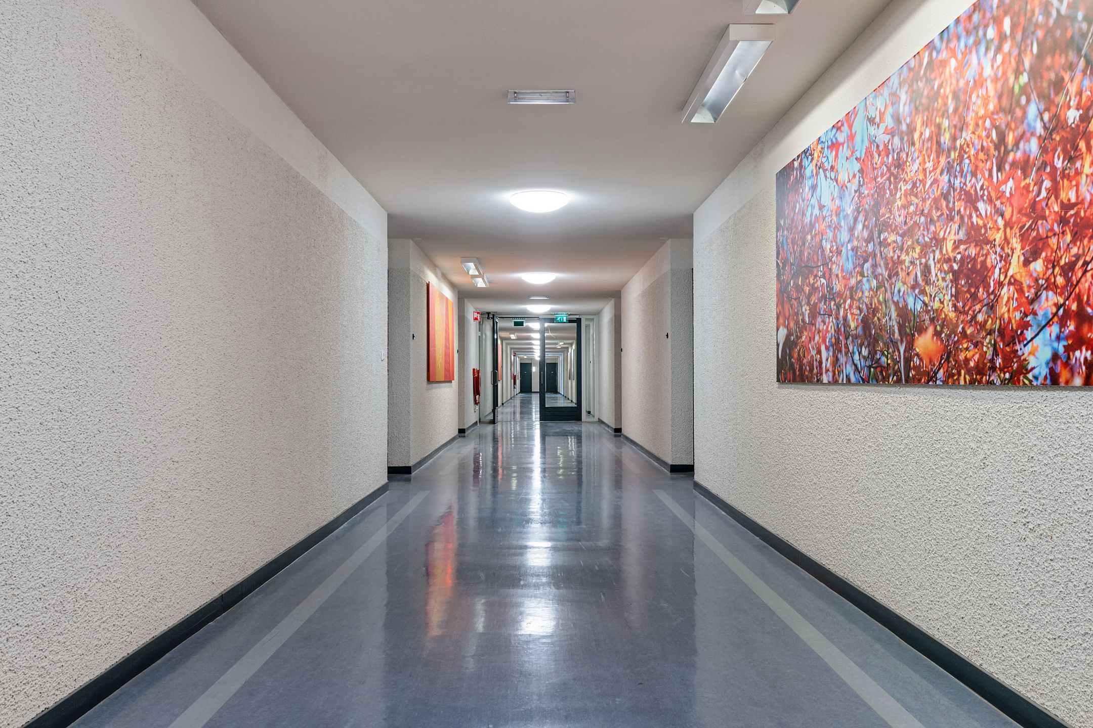 Foto 9 van Laan van Vollenhove 238