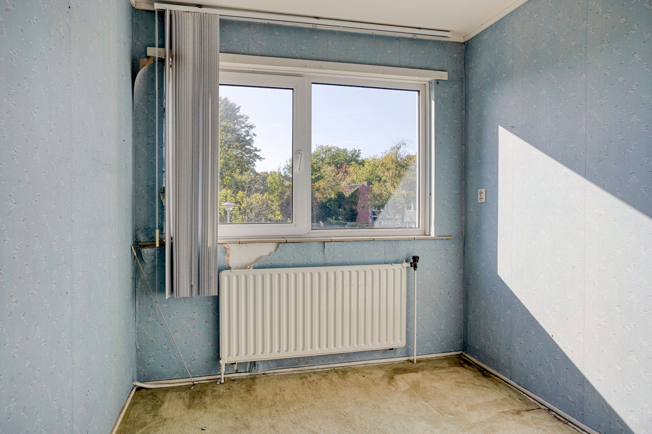 Foto 24 van Molencamp 20