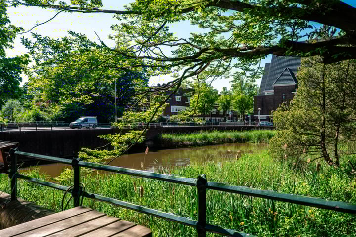 Foto 25 van Galileïplantsoen 125-D