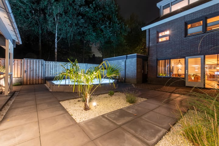 Foto 35 van Longkruid 25