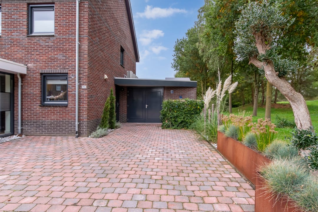 Photo 38 of Longkruid 25