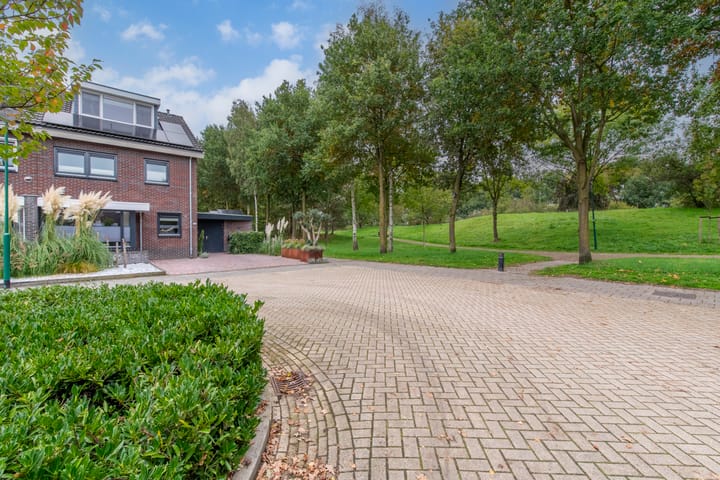 Foto 39 van Longkruid 25