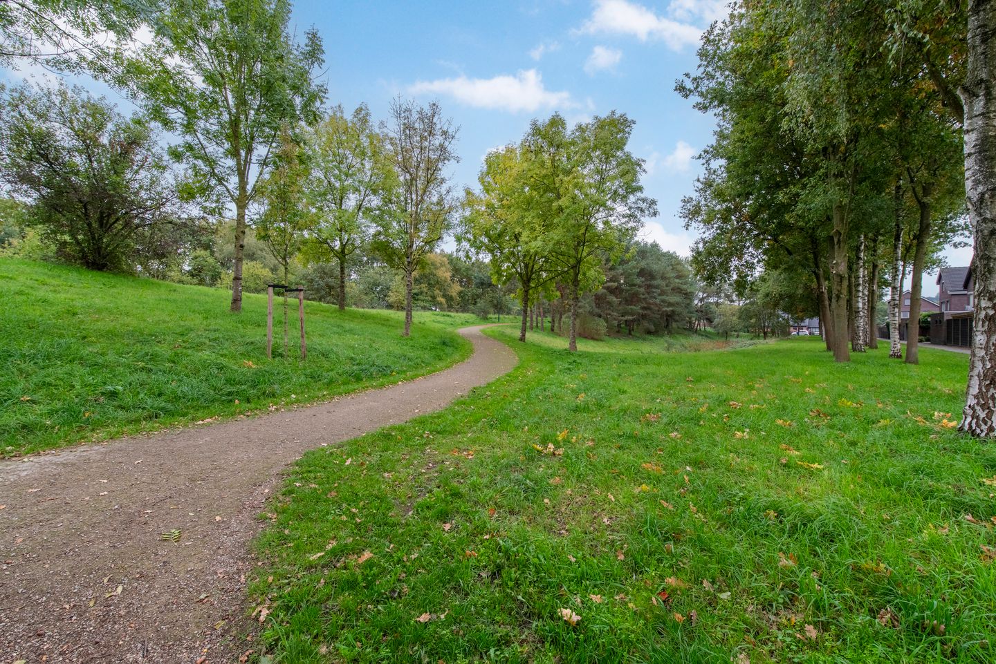 Photo 40 of Longkruid 25