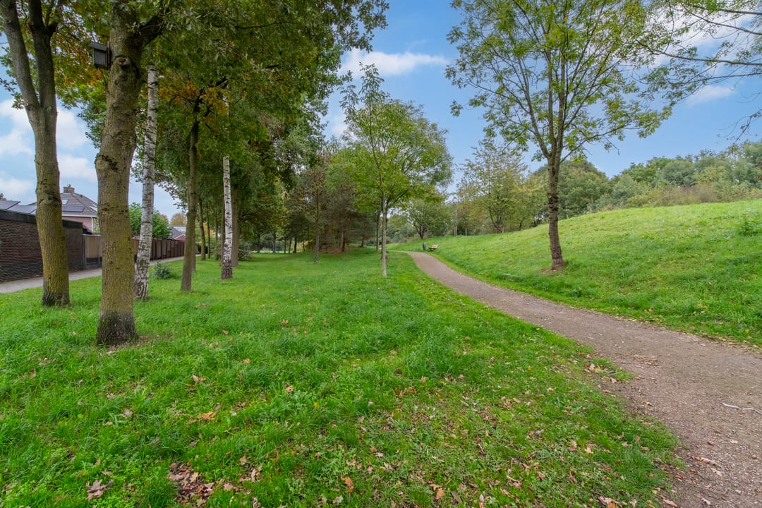 Photo 41 of Longkruid 25