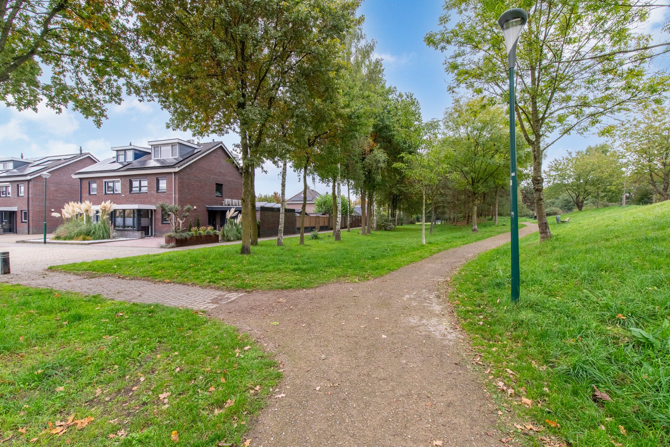 Photo 42 of Longkruid 25