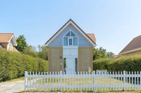 undefined main image