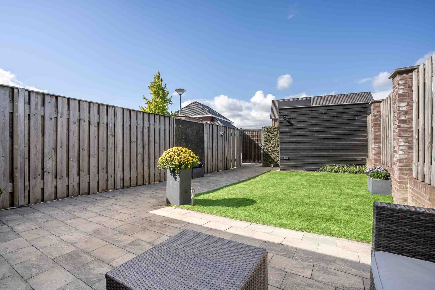 Photo 4 of Kwartelkoning 7