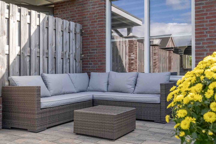 Photo 5 of Kwartelkoning 7