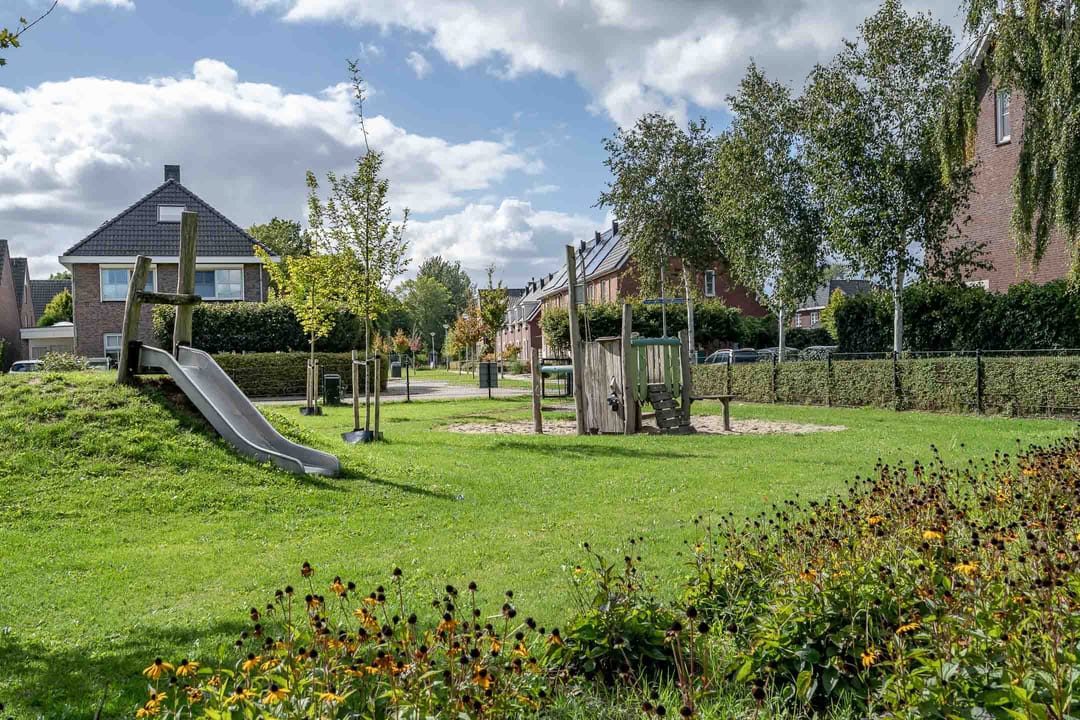 Photo 8 of Kwartelkoning 7