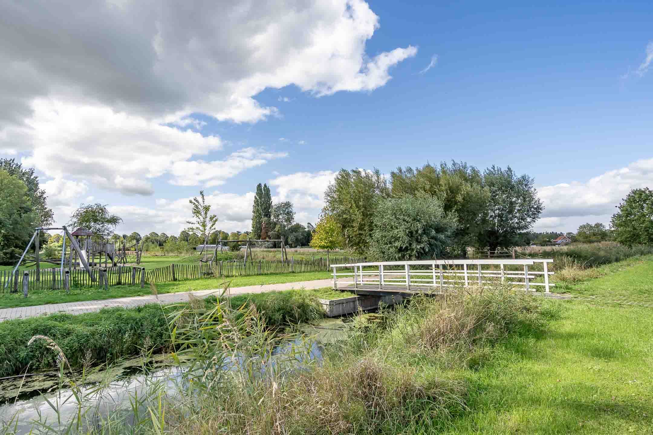 Photo 9 of Kwartelkoning 7