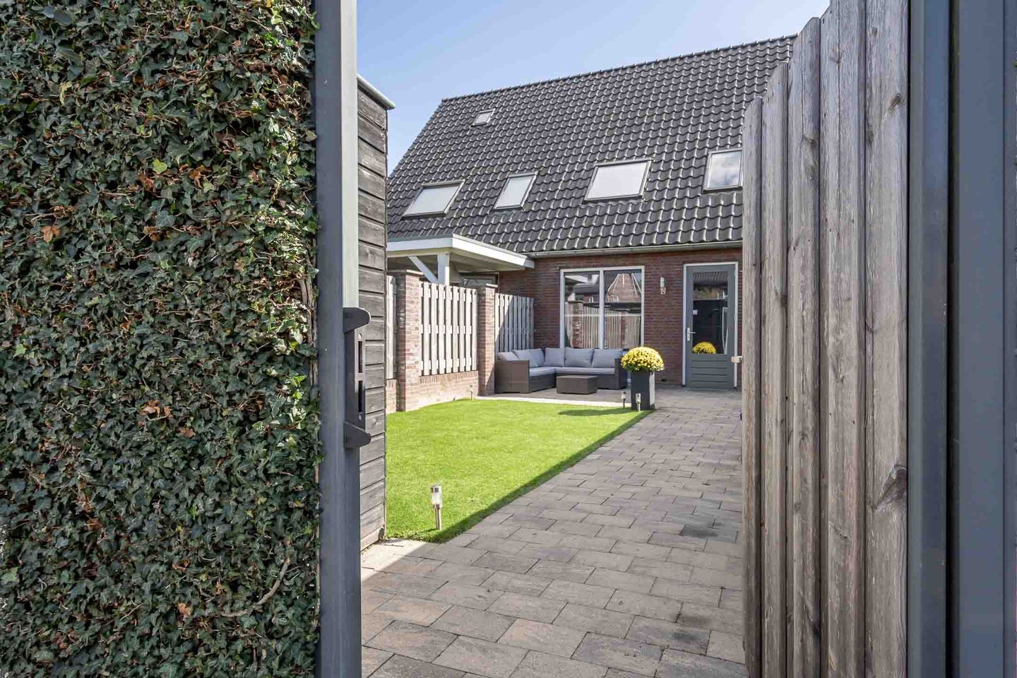 Photo 35 of Kwartelkoning 7