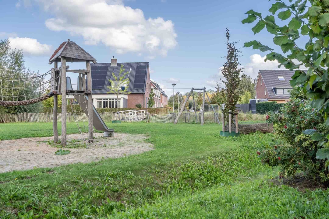 Photo 38 of Kwartelkoning 7