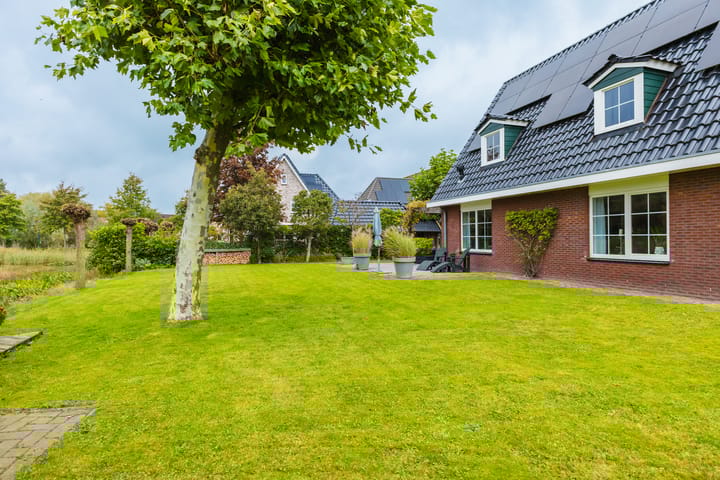 Photo 19 of Dille 25