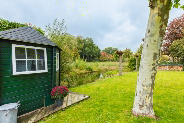 Photo 20 of Dille 25