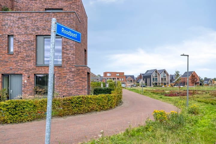 Foto 40 van Roodbont 4