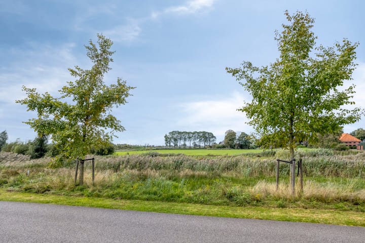 Foto 44 van Roodbont 4