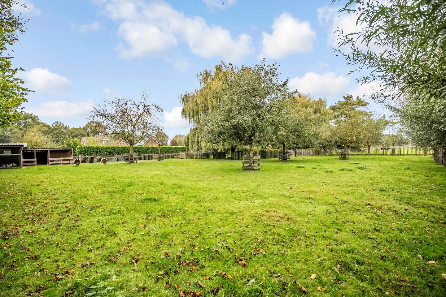 Foto 4 van Ruurloseweg 30