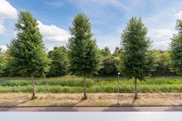 Photo 2 of Citroenvlinder 34