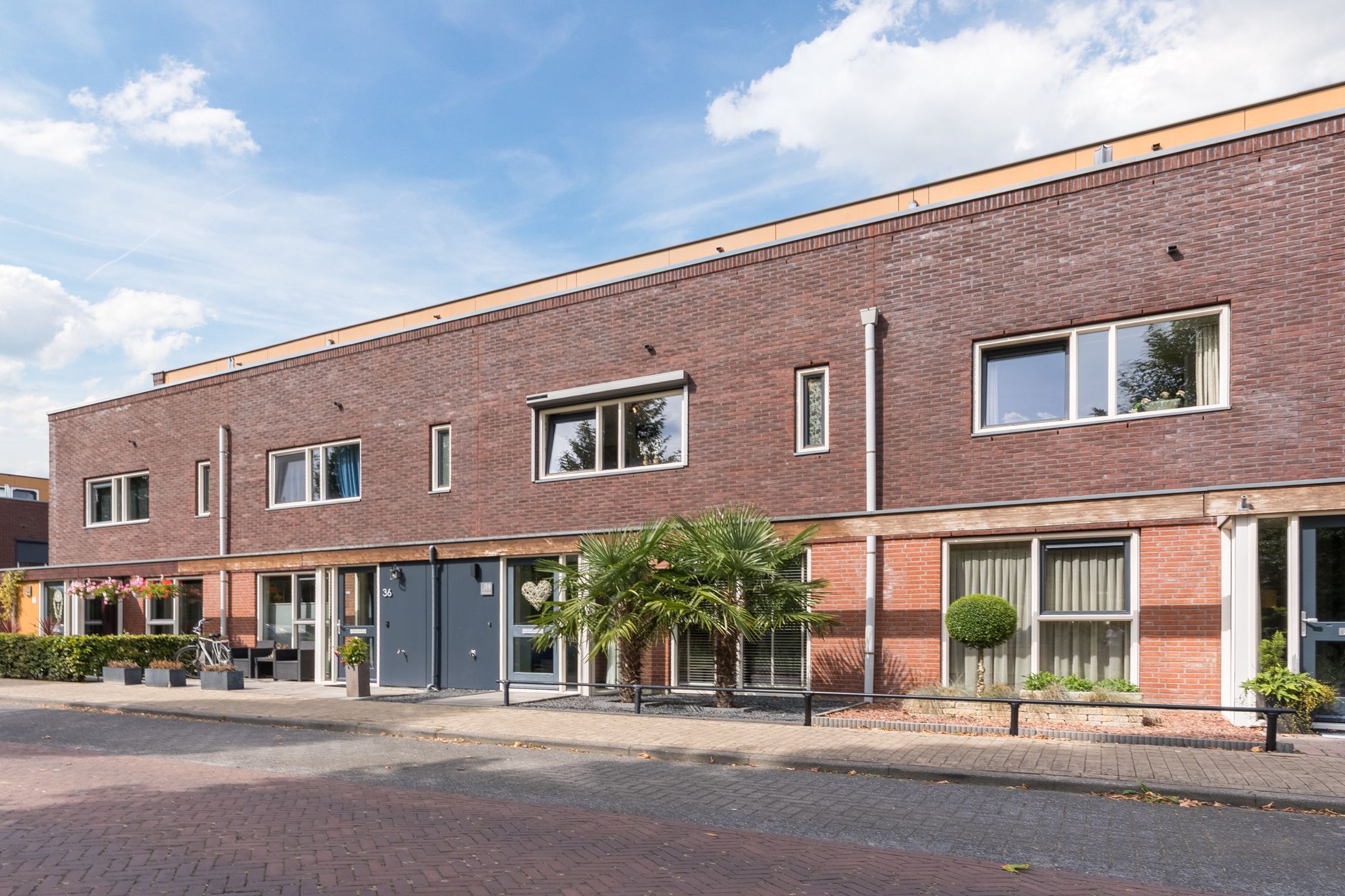 Photo 3 of Citroenvlinder 34