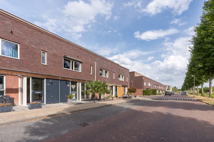 Photo 4 of Citroenvlinder 34