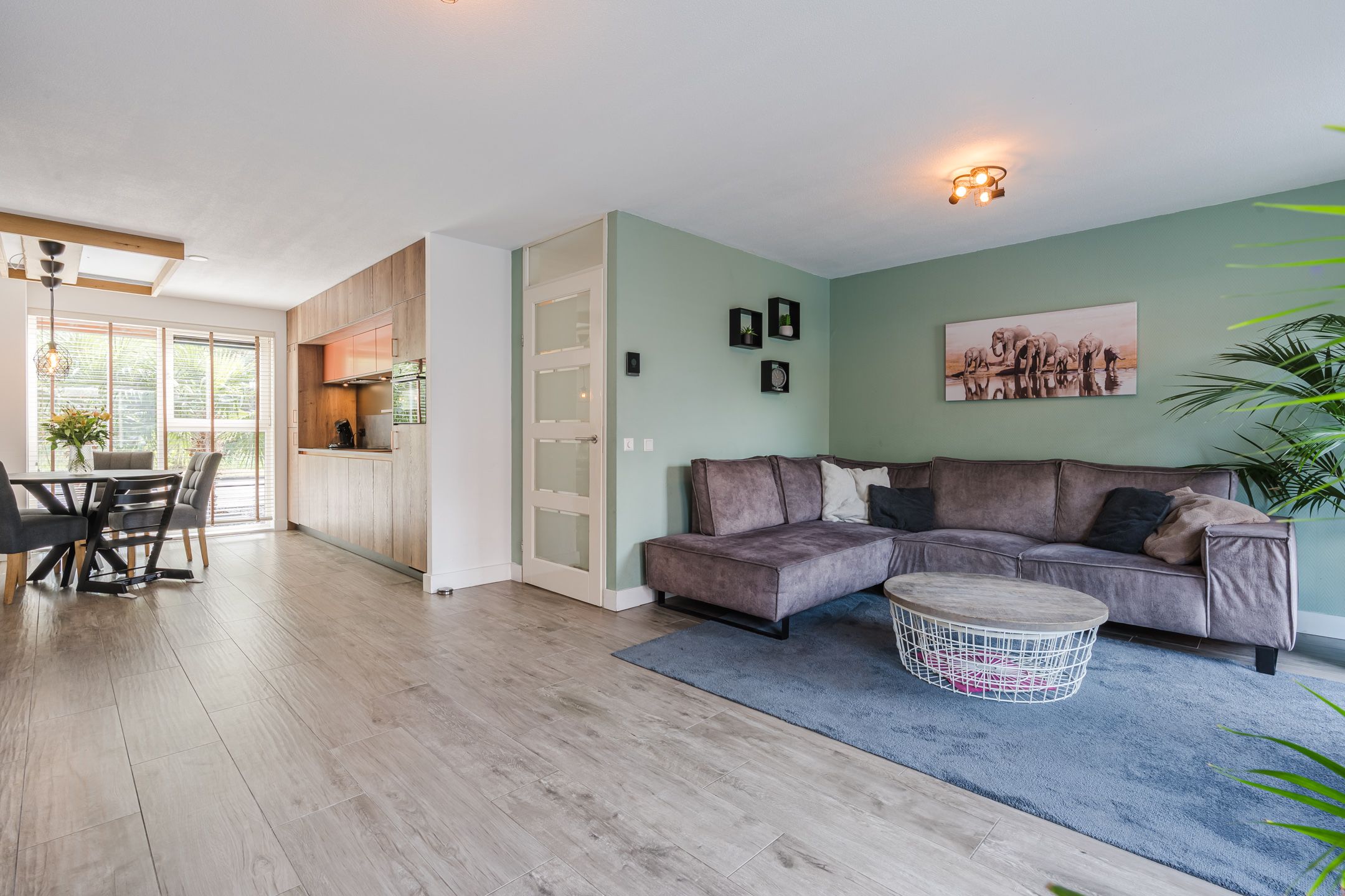 Photo 6 of Citroenvlinder 34