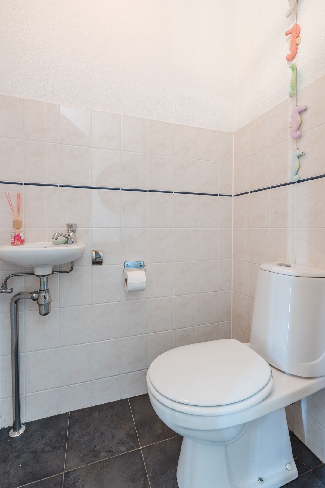 Photo 16 of Citroenvlinder 34