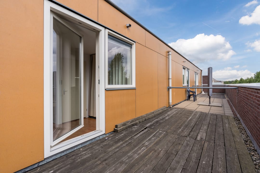 Photo 32 of Citroenvlinder 34