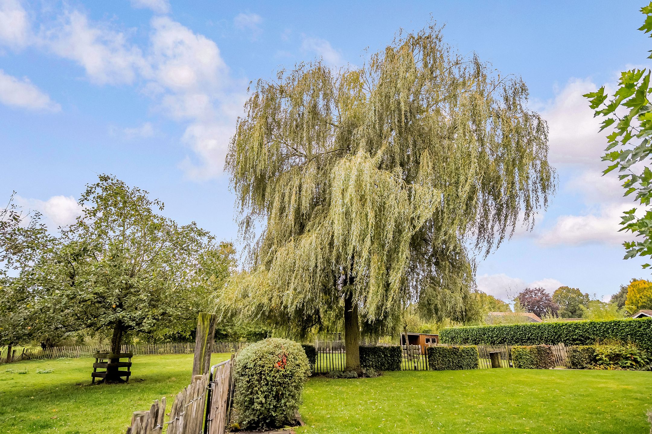 Foto 63 van Ruurloseweg 30