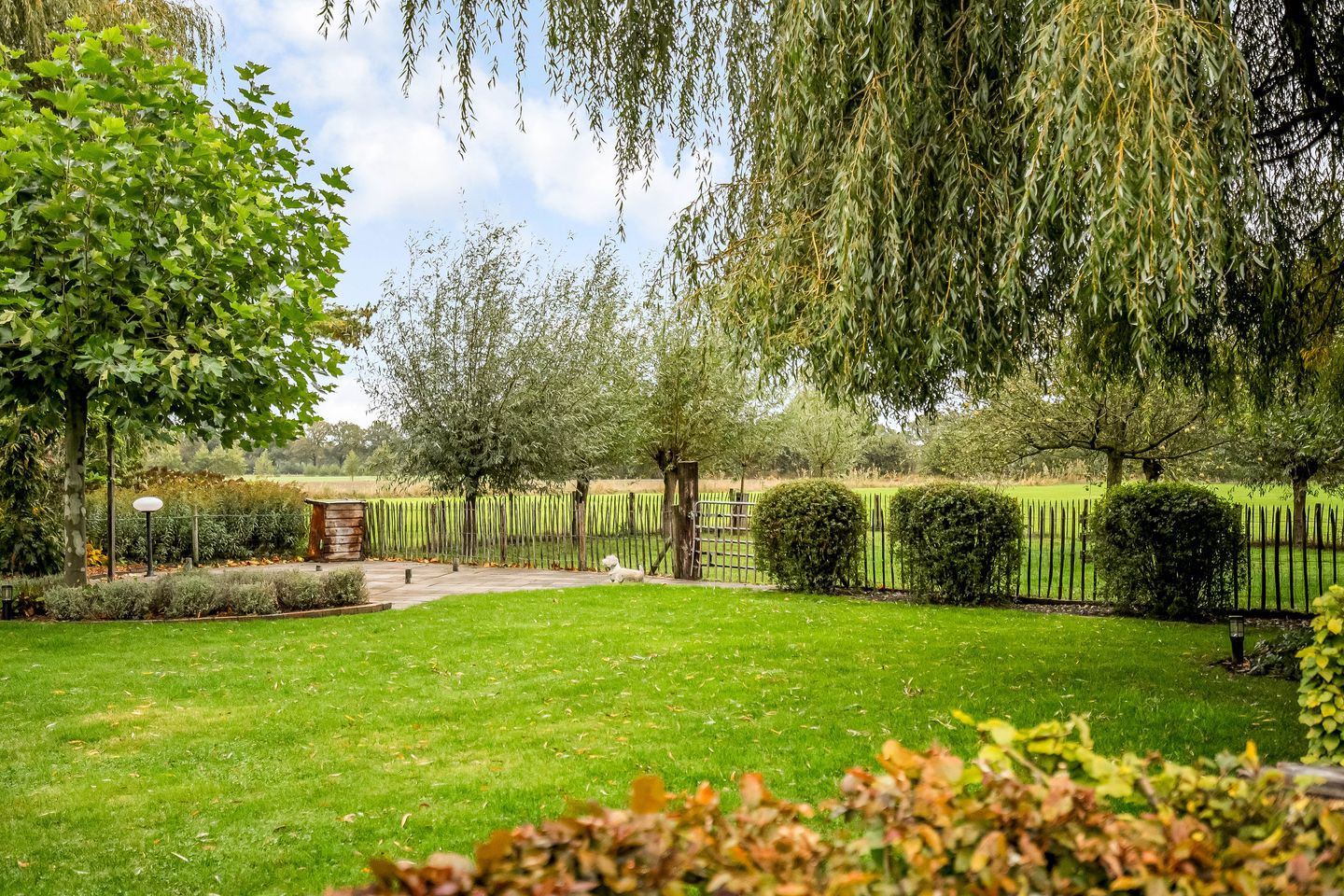 Foto 65 van Ruurloseweg 30