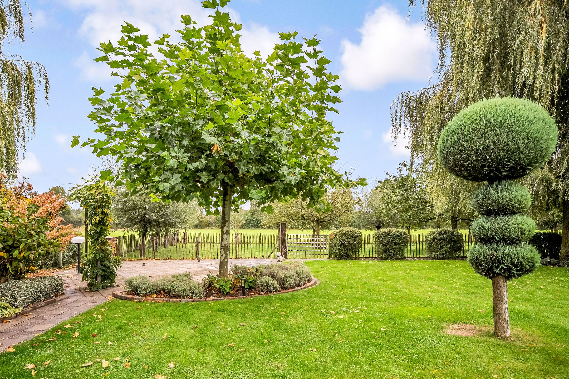 Foto 66 van Ruurloseweg 30