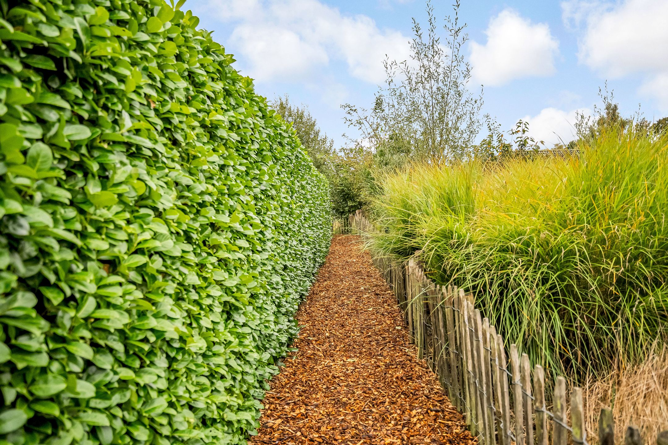 Foto 72 van Ruurloseweg 30