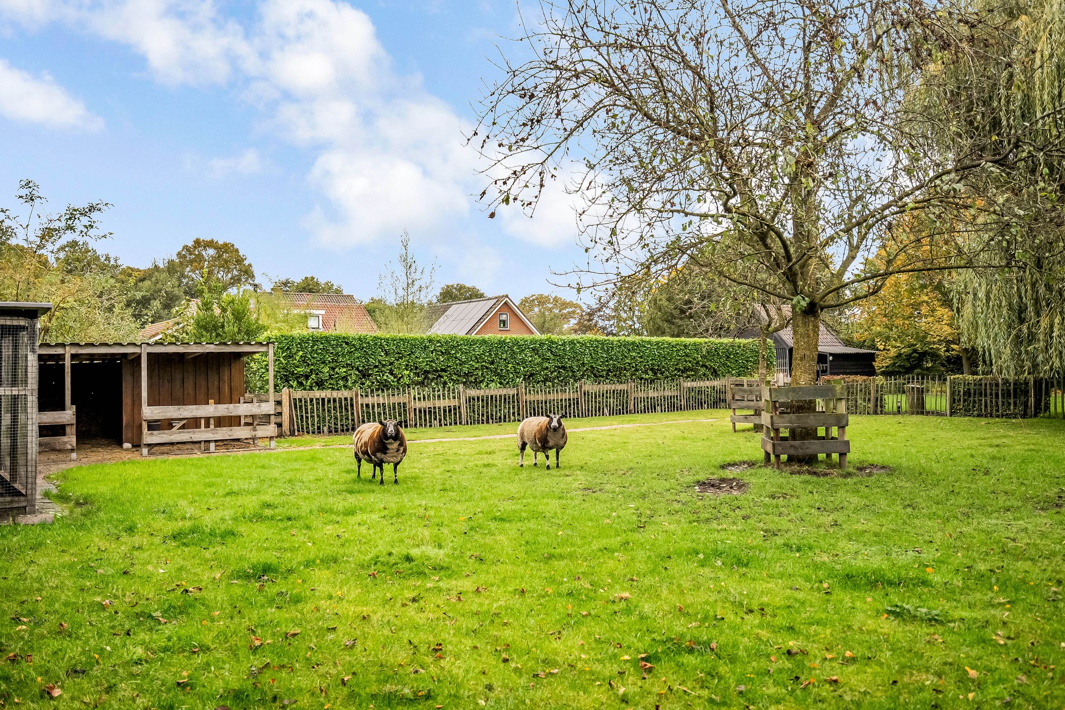 Foto 75 van Ruurloseweg 30