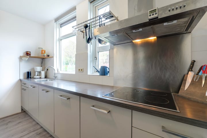 Foto 12 van Brandnetel 73