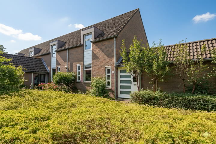 Foto 1 van Brandnetel 73