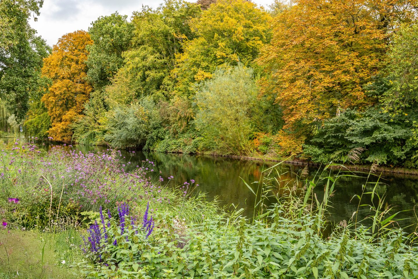 Foto 40 van Bergstraat 14