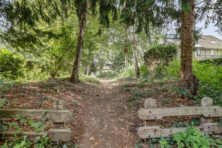 Foto 39 van Kievit 10