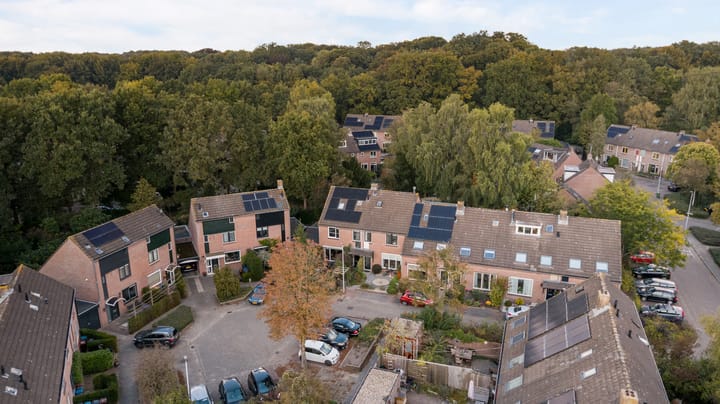 Foto 40 van Kievit 10